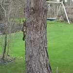 Feriehus Au Four Et Au Jardin Namur