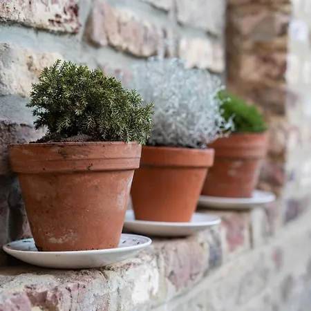 Au Four Et Au Jardin *