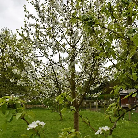 Au Four Et Au Jardin Holiday home Namur